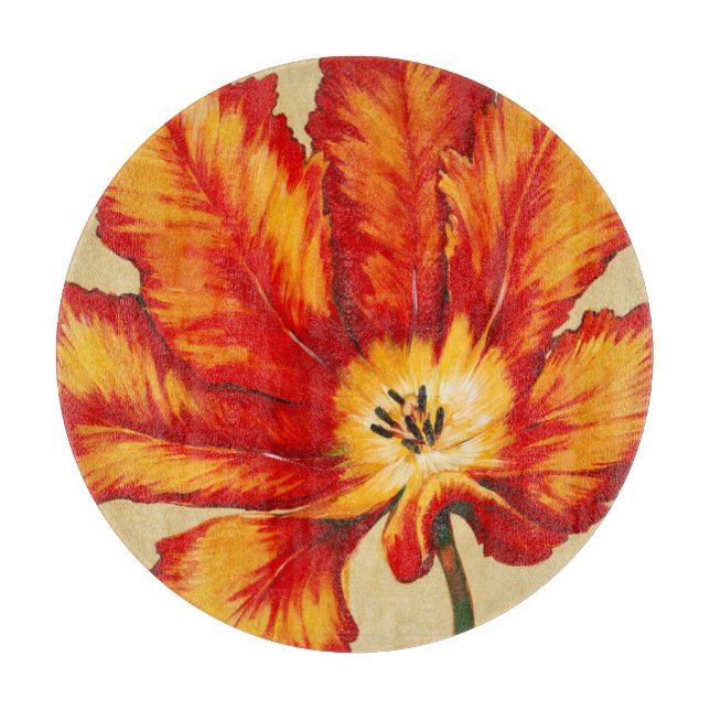 Parrot Tulip II (Framsidan)