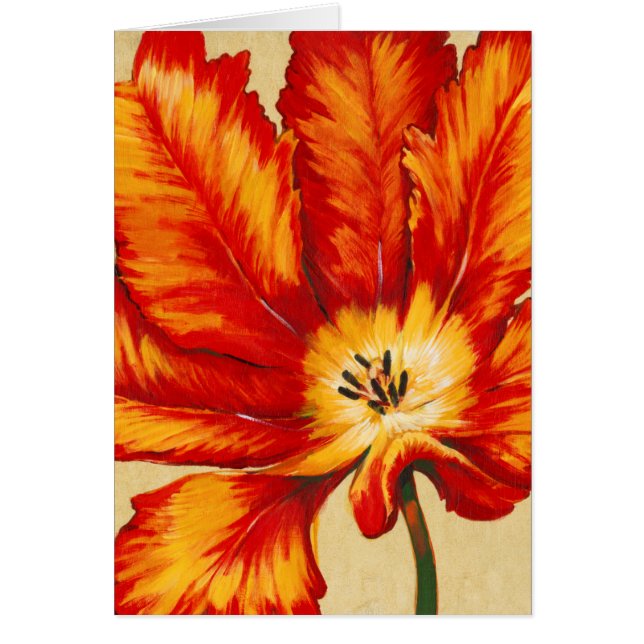 Parrot Tulip II Hälsningskort (Framsidan)