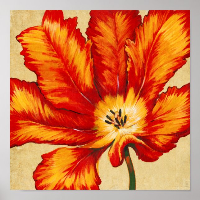 Parrot Tulip II Poster (Framsidan)