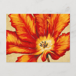 Parrot Tulip II Vykort