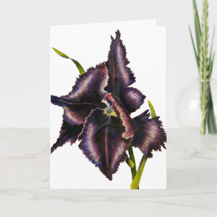 Parrot Tulip Kort
