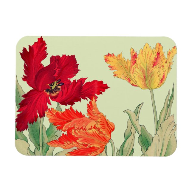 Parrot-tulpaner, Blommigt Magnet (Horisontell)
