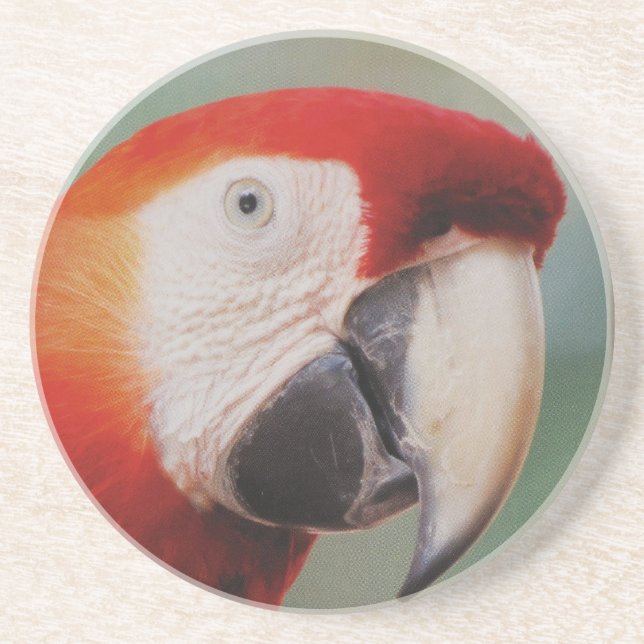 Parrot Underlägg Sandsten (Framsidan)