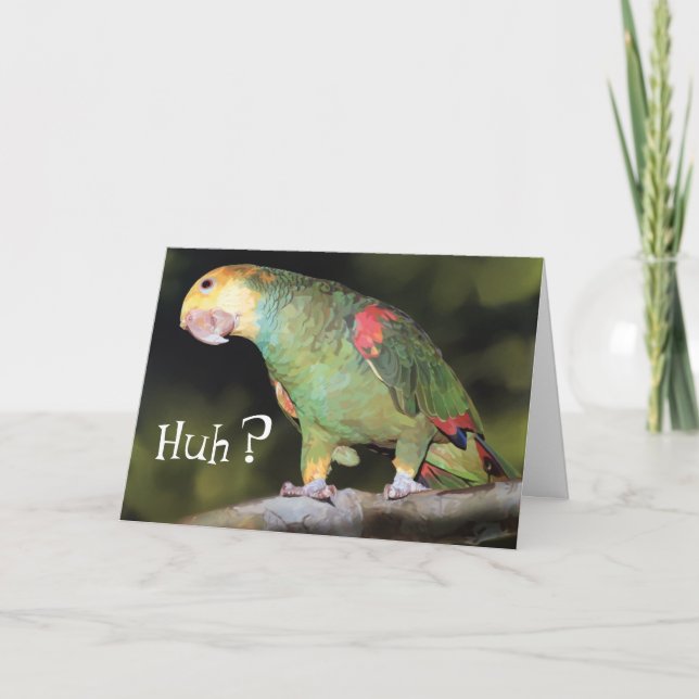 Parrot, va? kort (Framsida)