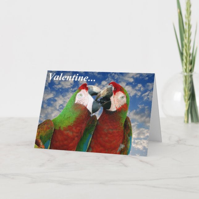 Parrot Valentine Card 003 Helgkort (Framsida)
