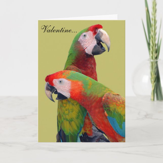 Parrot Valentine Card 007 Helgkort (Framsida)