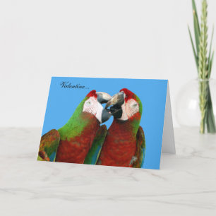 Parrot Valentine Card Helgkort