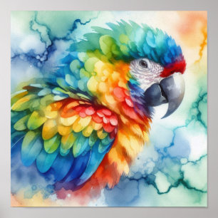 Parrot, vattenfärg poster