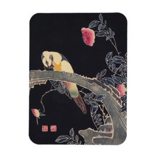 Parrot vid Gren, Blommar Ro Bush, Jakuchu Magnet