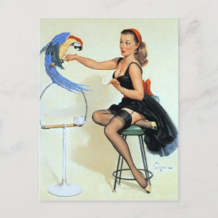 Parrot-Vintage-stift upp Vykort