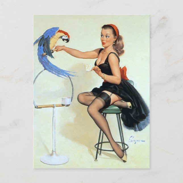 Parrot-Vintage-stift upp Vykort (Framsida)