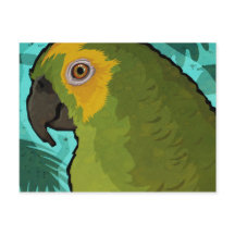 Parrot