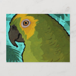 Parrot Vykort