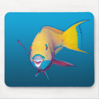 Parrotfish Close-up! Övertoningsblå bakgrund | Musmatta