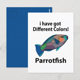 Parrotfish Funny Vykort