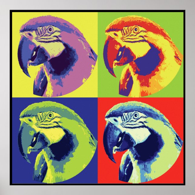 Parrotheads Poster (Framsidan)