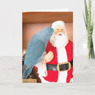 Parrotlet Bird besöker julkortet Jultomten Helgkort