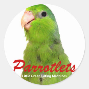 Parrotlet Birds dekalkonteckning Parrot Grönt Par Runt Klistermärke