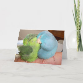 Parrotlet love birds är säkert i arm hälsning kort