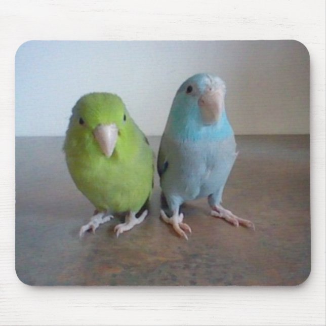 Parrotlet Mousepad Musmatta (Framsidan)