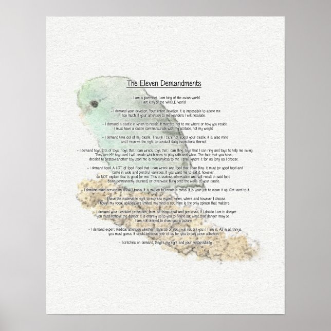 Parrotlets Elva - krav Poster (Framsidan)