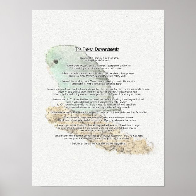 Parrotlets Elva - krav Poster (Framsidan)