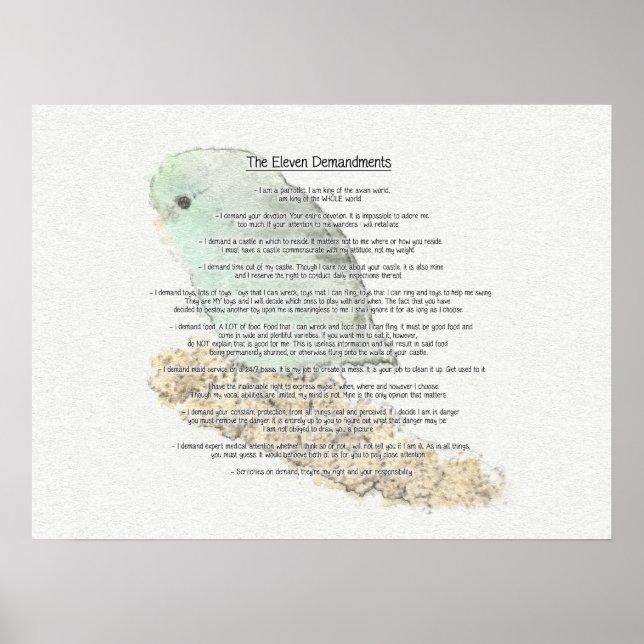 Parrotlets Elva - krav Poster (Framsidan)