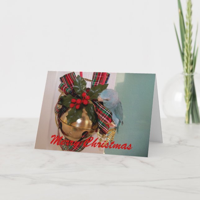Parrotlets God jul-hälsningskort Helgkort (Framsida)