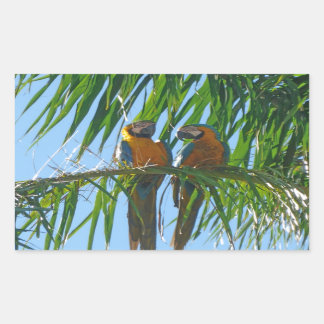 Parrots- Blue- och Guld Macaws Rektangulärt Klistermärke