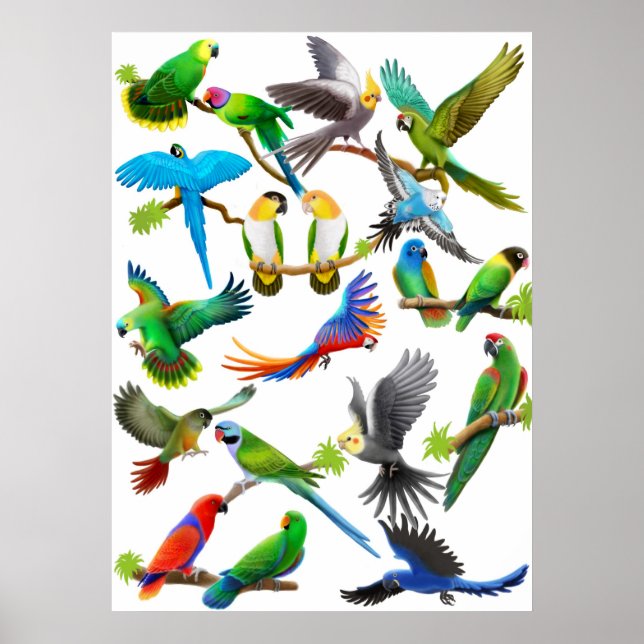 Parrots Galore Poster (Framsidan)