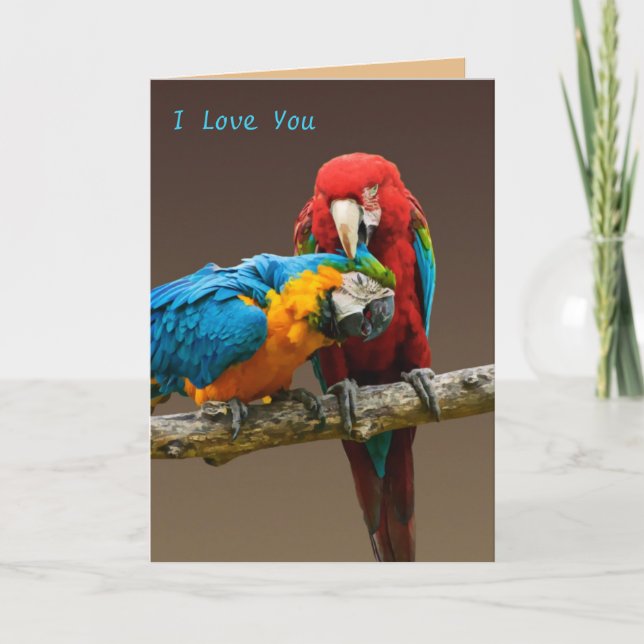 Parrots Kärlek Guld och Blue Macaw Scarlett Macaw Kort (Framsida)