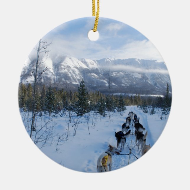 ParrotSleds - landskap Julgransprydnad Keramik (Framsidan)