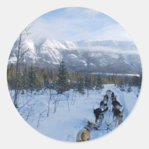 ParrotSleds - landskap Runt Klistermärke