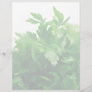 Parsley