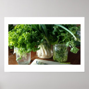 Parsley, Cilantro & salladslökaffisch Poster