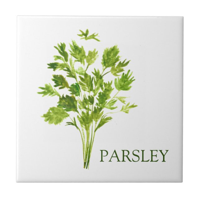 Parsley Herb Greenery Kitchen Culinary Grönt Kakelplatta (Framsidan)