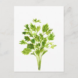 Parsley örters Parsley vattencolor plant växt grön Vykort