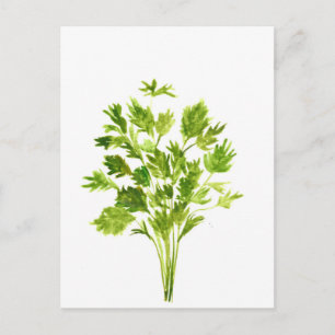 Parsley örters Parsley vattencolor plant växt grön Vykort