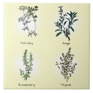 Parsley Sage Rosemary & Thyme Örters Kakelplatta
