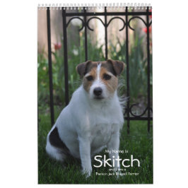 Parson Jack Russell Terrier Hund Calendar av Janz Kalender