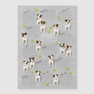 Parson Jack Russell Terriers grått 2020-kalender