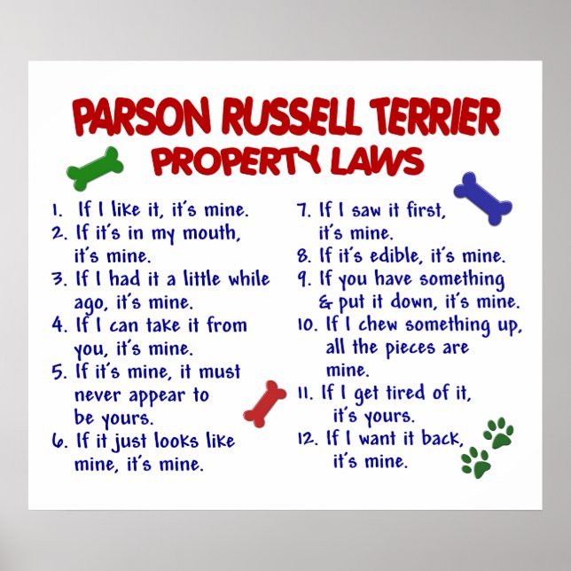 PARSON RUSSELL TERRIER PL2 POSTER (Framsidan)