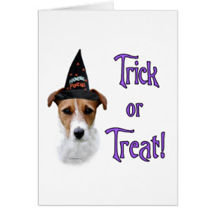 Parson Russell Terrier Trick Hälsningskort