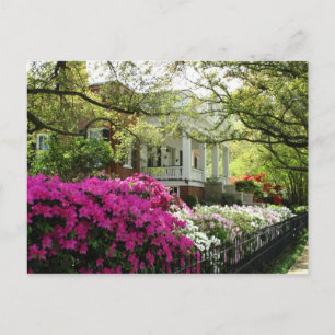 Parsonage - Vår i Natchez, Mississippi Vykort