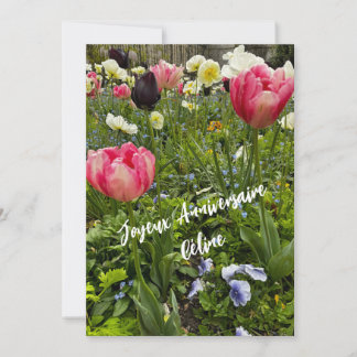 Parterre de fleurs
