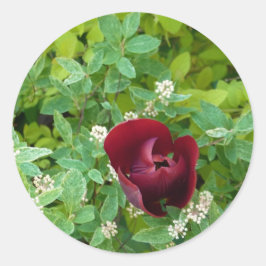 parterre de fleurs au printemps runt klistermärke