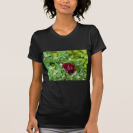 parterre de fleurs au printemps tee shirt