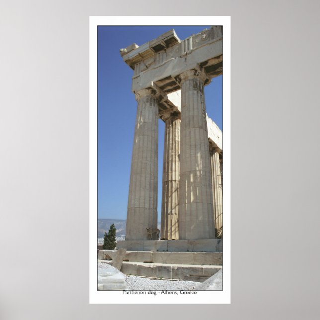Parthenon hund poster (Framsidan)
