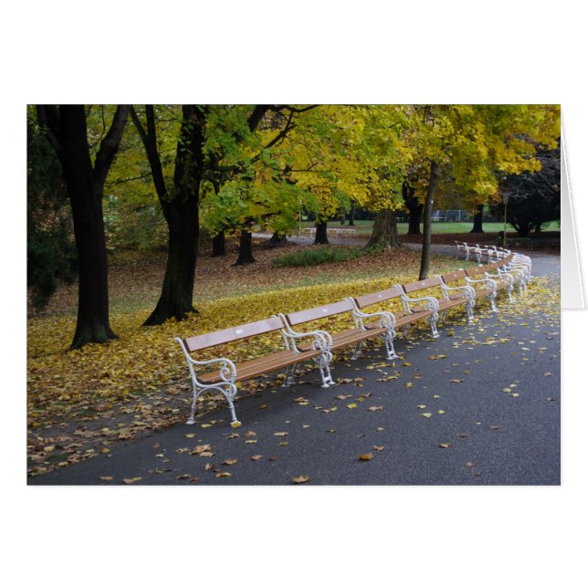 Parti Benches Hälsningskort (Framsidan Horizontal)