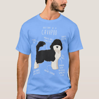Parti Cavapoo Hund Anatomy 2 T Shirt